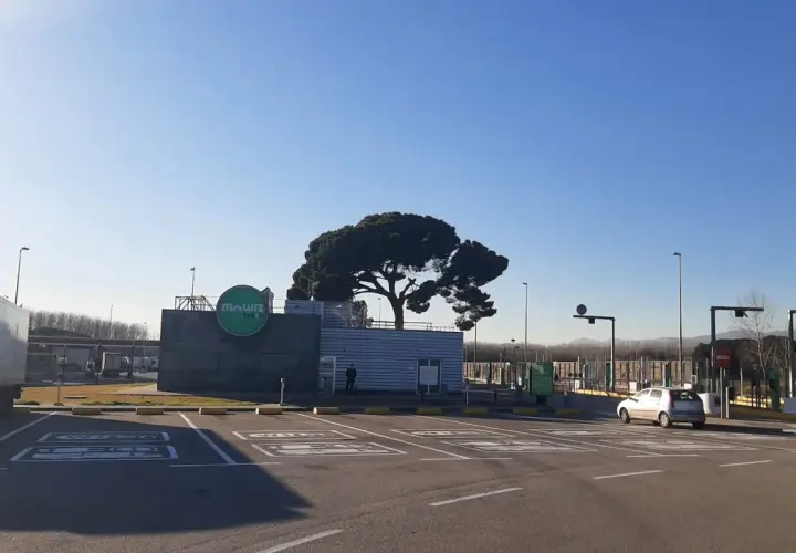 Un área de parking camiones con un gran pino y el logo de "Mawiz Truck". Un camión blanco está aparcado a la izquierda.