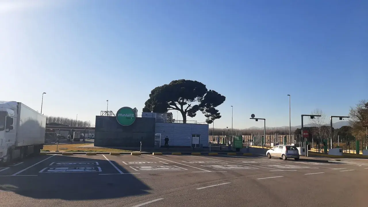 Un área de parking camiones con un gran pino y el logo de "Mawiz Truck". Un camión blanco está aparcado a la izquierda.