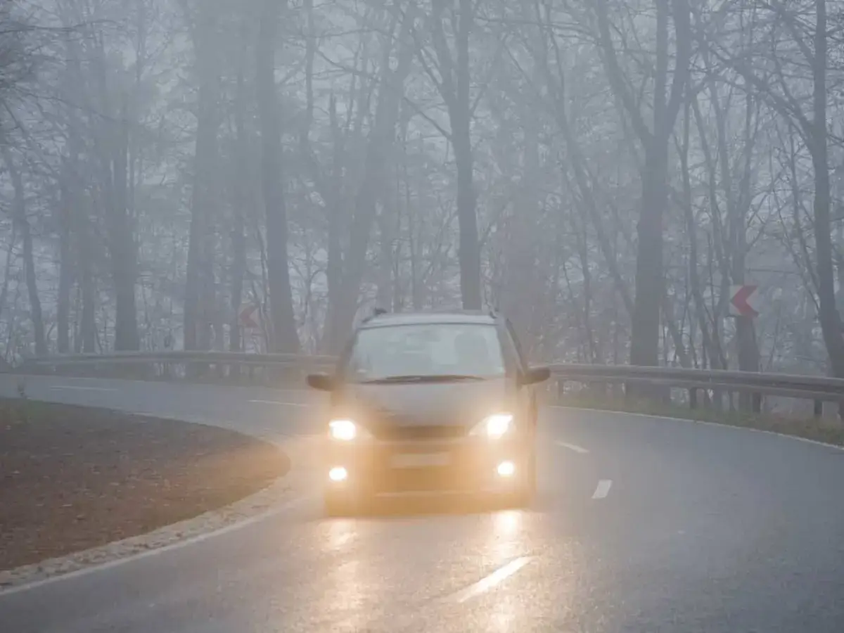 Un coche avanza con el alumbrado encendido en una carretera rodeada de árboles, envuelta en niebla densa.